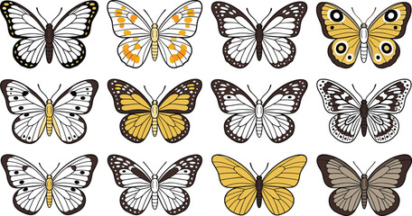 Fototapeta premium Stylized Butterfly Flat Vector Collection – Colorful Butterfly Species, Decorative Insects, Nature, Garden and Botanical Wildlife Illustrations