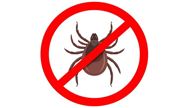 A brown cartoon tick insect inside a red, crossed-out circle, signifying "no ticks allowed." White background