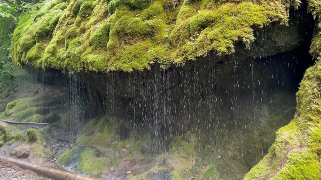 The Wutach Gorge in the Southern Black Forest Nature Park (Germany's largest canyon) - Die Wutachschlucht im Naturpark S&uuml;dschwarzwald (der gr&ouml;&szlig;te Canyon Deutschlands)