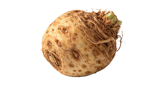 Fresh organic raw celery root celeriac vegetable isolated on a transparent background