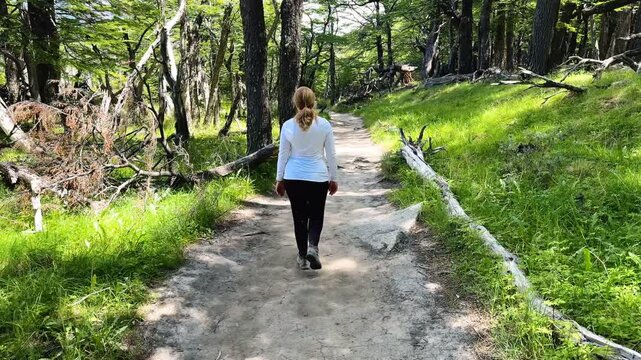 Camera follows a female tourist is walking along the Laguna Torre hiking trail near El Chalten, Argentina