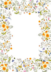 Fototapeta premium Floral frame with watercolor hand draw meadow flowers, wildflowers, grass, herbs and leaves, isolated on white background