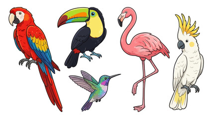 Fototapeta premium Adorable Tropical Bird Illustration Vector Collection Featuring Exotic Parrot, Toucan, Pink Flamingo, Colorful Hummingbird and White Cockatoo in Vibrant Jungle Wildlife Art Style