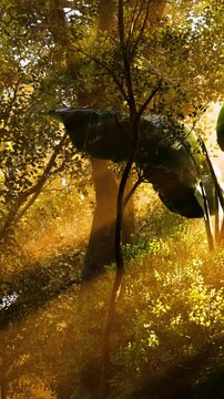 Sunlight shines through the leaves of trees in a forest. The scene shows green plants and soft light creating a warm atmosphere in the late afternoon.
