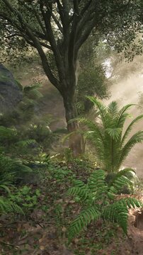 Sunlight shines through trees in a dense forest. Ferns and other plants grow on the forest floor. This scene shows a natural environment during daytime.