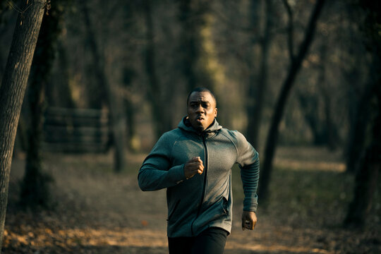 Athletic man running on a wooded park trail