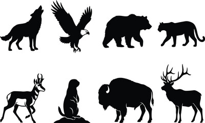 Obraz premium North American wildlife animals black silhouettes set isolated on white background vector illustration