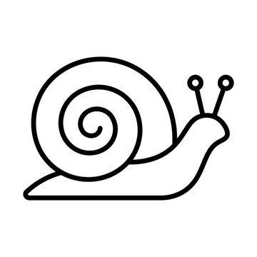 garden snail line icon