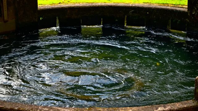 音無井路円形分水の中心部から美しく湧き上がる清流のクローズアップ
（大分県竹田市）
A close-up of the clear stream welling up beautifully from the center of the Otonashi Iro Circular Water Divider
(Taketa City, Oita Prefecture)