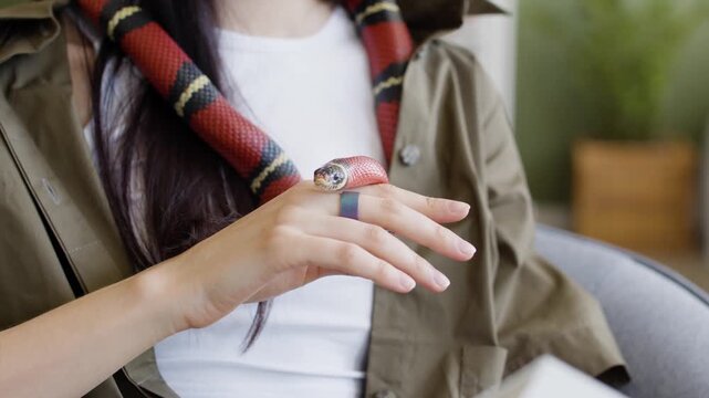 Red Banded Snake Crawling on Woman During Animal Experience