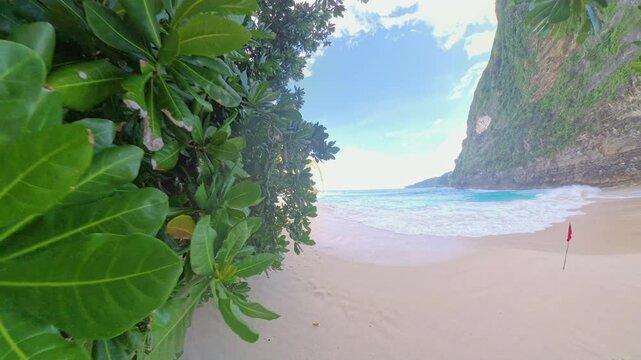 Wide Angle View of Kelingking Beach Through Coastal Vegetation on Nusa Penida, Tropical Shoreline and Turquoise Waves