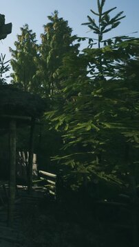A group of green trees stands close to a wooden structure in a forest area. Sunlight shines through the leaves, creating shadows on the ground. The sky is clear and blue.