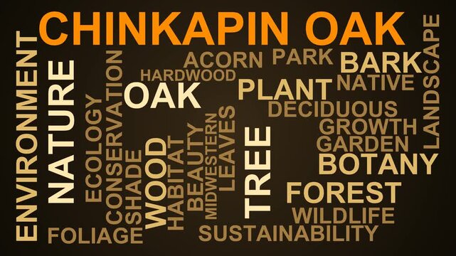 Chinkapin Oak Word Cloud