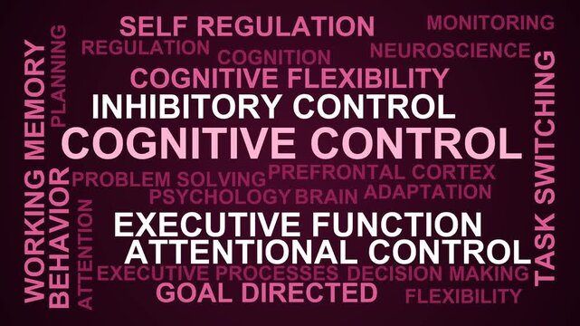 Cognitive Control Word Cloud