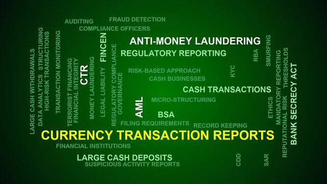 Currency Transaction Reports Word Cloud