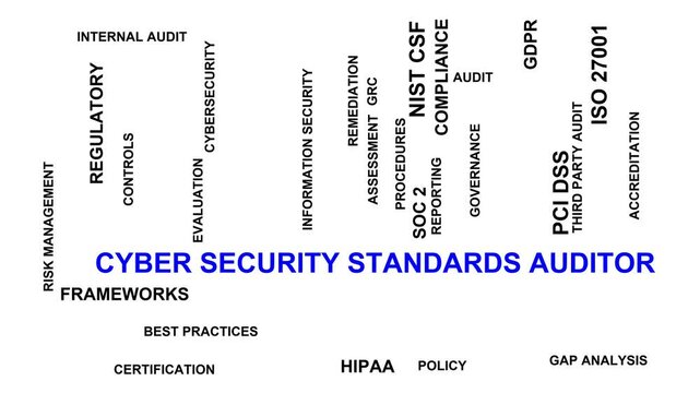 Cyber Security Standards Auditor Word Cloud