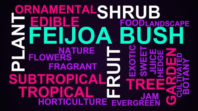 Feijoa Bush Word Cloud