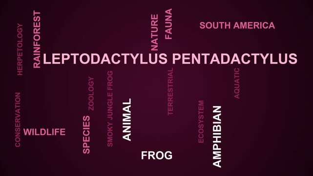 Leptodactylus Pentadactylus Word Cloud