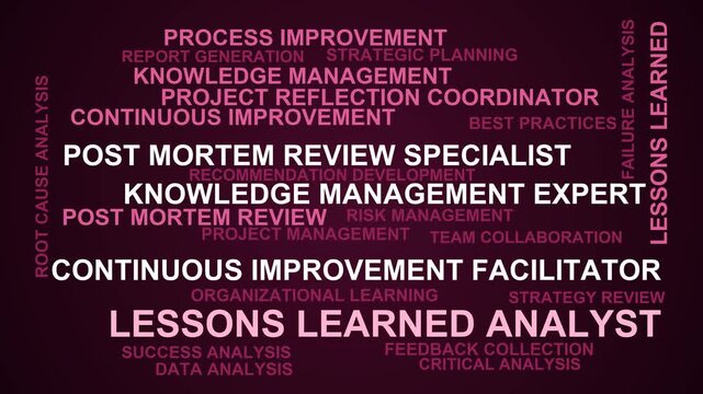 Lessons Learned Analyst Word Cloud
