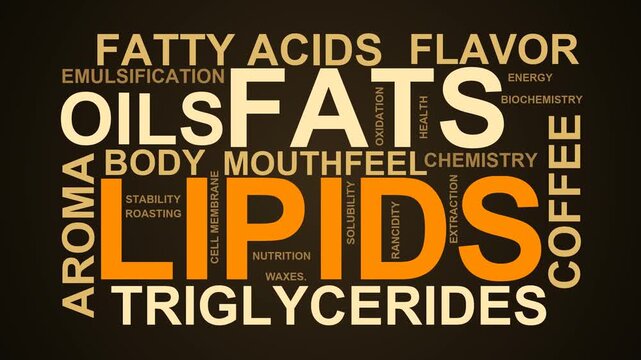Lipids Word Cloud