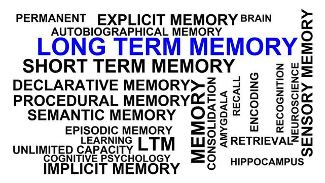 Long Term Memory Word Cloud