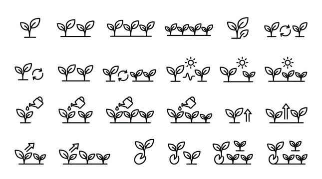 Vector Icons Set of minimalist plant growth and gardening line icons representing sprout development and cultivation. EPS Editable