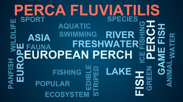 Perca Fluviatilis Word Cloud