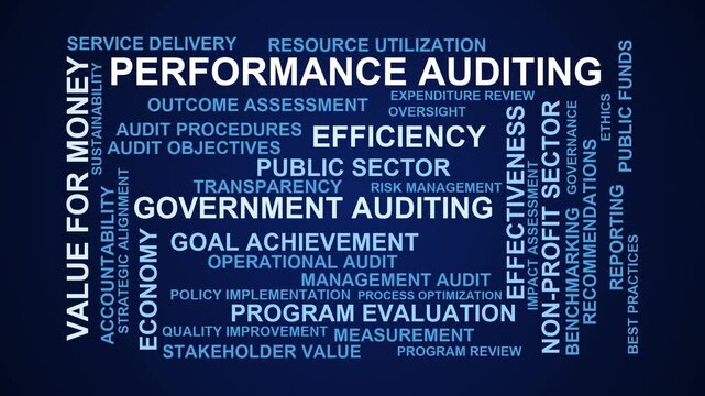 Performance Auditing Word Cloud
