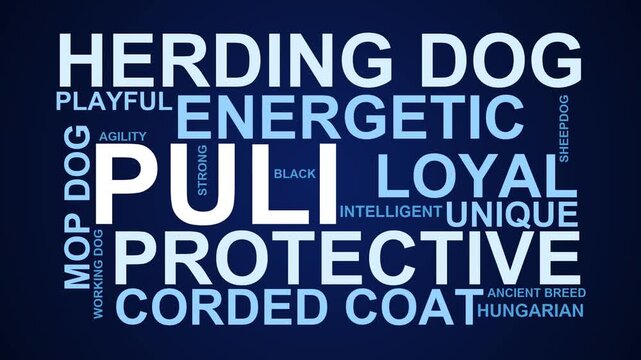 Puli Word Cloud