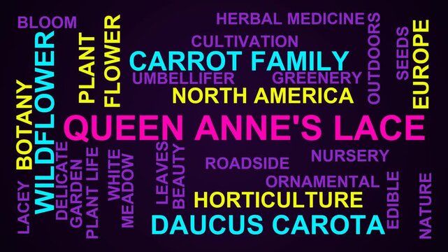Queen Anne'S Lace Word Cloud