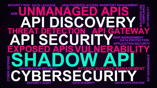 Shadow Api Word Cloud