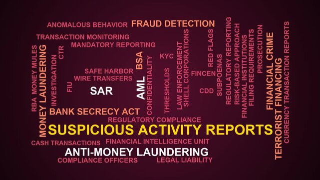 Suspicious Activity Reports Word Cloud