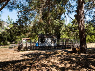 Explore a quaint rural chicken coop nestled among trees, ideal for countryside photography and nature lovers © EJ