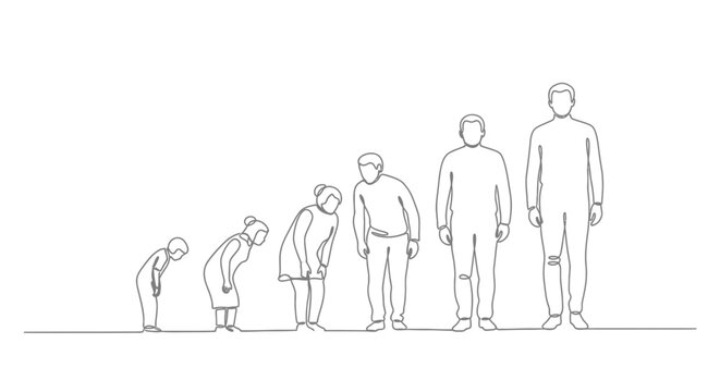 Human life cycle progression, from child to adult, illustrated in minimalist line art