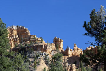 Fototapeta premium Towering rock formations and tall pines in Red Canyon along Utah's Scenic Byway 12
