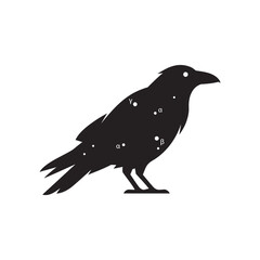 Fototapeta premium Black bird silhouette with celestial star constellation and symbols