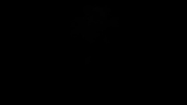 A fire explosion with flames. Can be used for projects with where a backdraft backgrounds bang big black bomb burning color concepts crash danger destruction erupting exploding explosive fire fireball