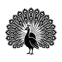 Fototapeta premium Elegant peacock displaying colorful feathered tail silhouette graphic design