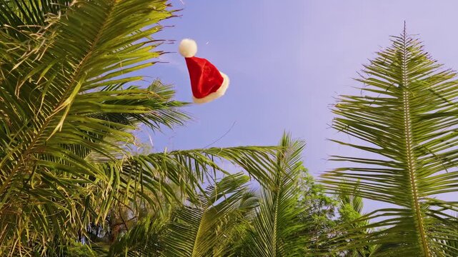 Slow Motion Santa Hat Flying Through Tropical Palm Trees Against a Clear Blue Sky, Festive Holiday Symbol, Christmas Spirit and Exotic Summer Celebration