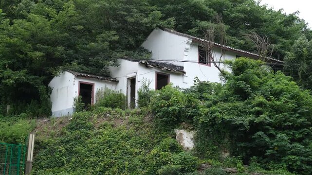 Abandoned whitewashed rural house overtaken by vegetation on a hillside in Zhejiang China. Forgotten countryside dwelling. Concept of rural depopulation, heritage decay, and social change