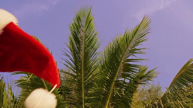 Slow Motion Santa Hat Resting Above Tropical Palm Fronds Against a Blue Sky, Christmas Holiday Spirit in a Warm Island Paradise
