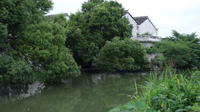 Traditional Jiangnan house beside a river surrounded by lush trees in rural Ningbo, Zhejiang China. Authentic countryside waterway. Concept of cultural heritage, rural tourism, and traditional lifesty