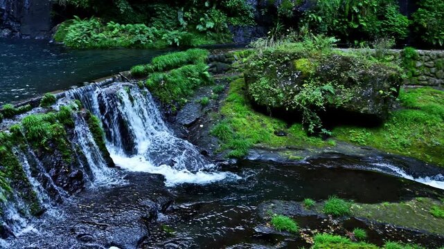 源流 白水の滝 マイナスイオン溢れる滝と清流の風景映像
（大分県竹田市荻町）
Hakusui Falls at the Source: Scenic footage of a clear stream and a waterfall rich in negative ions
(Ogi-machi, Taketa City, Oita Prefecture)