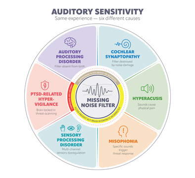 Auditory sensitivity infographic focusing missing noise filter different causes. Including APD, cochlear synaptopathy, hyperacusis, misophonia, sensory processing disorder and PTSD. Vector graphic.