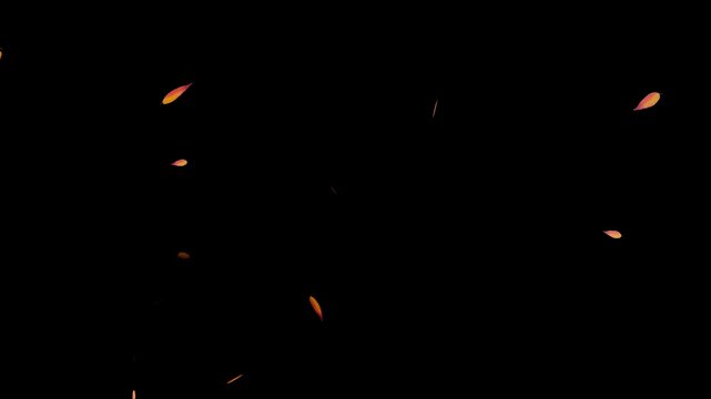 Maple Leaf falls animation. Autumn maple leaves fall in the background. Autumnal maple leaves rotation on white background.
colorful autumn maple leaves falling isolated alpha channel 4k animation,