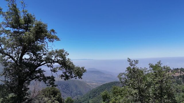 California moutains aok trees clean sky summer day