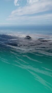 Waves move towards the shore of a clean ocean. The sky appears bright and clear. The colors of the water show different shades of blue and green.