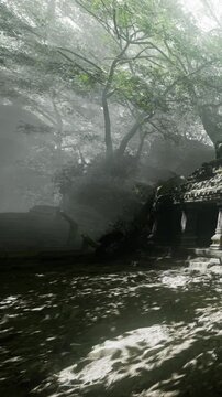 A person walks along a foggy path in a forest. Ancient stone ruins appear to the side. Tall trees surround the area. Morning light filters through the leaves, creating shadows.