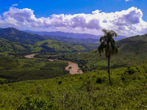 Panoramic view of a lush green tropical valley with a winding muddy river, mountains in the background, and a palm tree in the foreground under a cloudy blue sky.