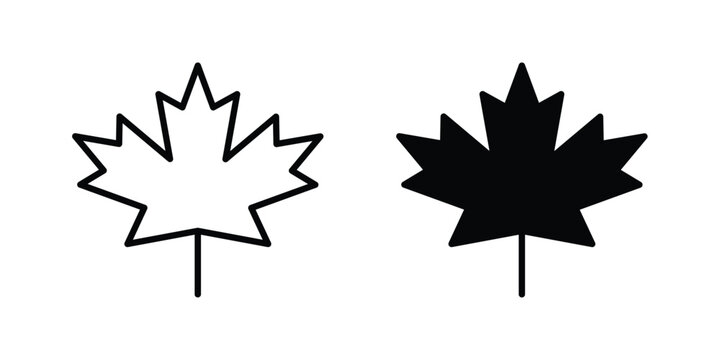 Maple leaf icon